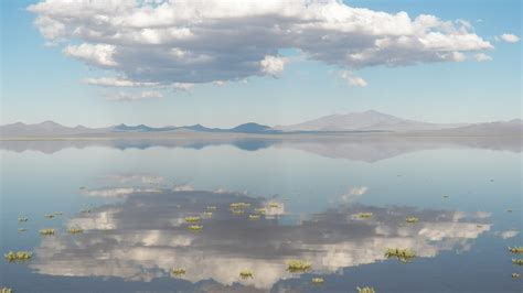 El Día Mundial De Los Humedales Celebró Su 45° Aniversario Infobae