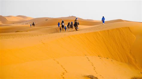 4 Days Shared Desert Tour From Marrakech Trips For Morocco