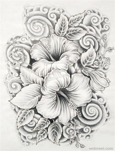 Drawings Of Flowers Hibiscus Realistic Flower Drawing Beautiful Flower