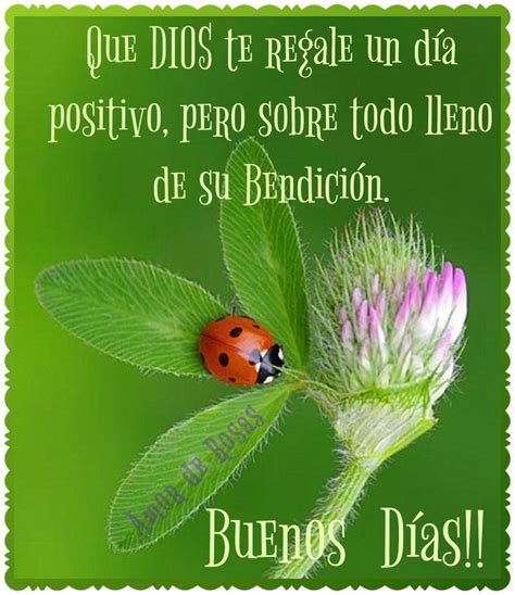 Pin de Evy Jeii en Frases positivas Frases de buenos días Oracion de