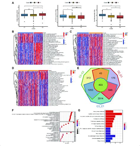 The Interaction And Correlation Among The Pyroptosis Subtypes A Download Scientific