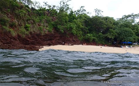 Snorkeling in Playa Conchal, Guanacaste | Snorkeling in Costa Rica