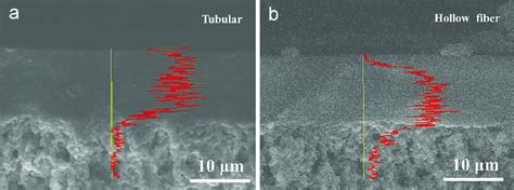 Edx Line Scans Of Si Element For The Cross Section Of Pdms Membrane