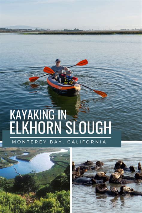 Kayaking in Elkhorn Slough