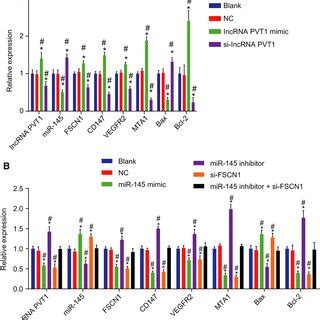 MiR145 Is A Target Of LncRNA PVT1 A Subcellular Location Of LncRNA