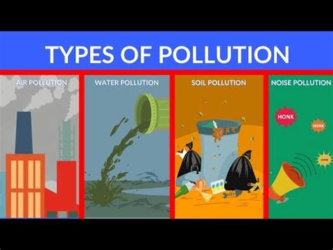 Types of Pollution | Pollution Video Compilation | Pollution Video | Quizalize