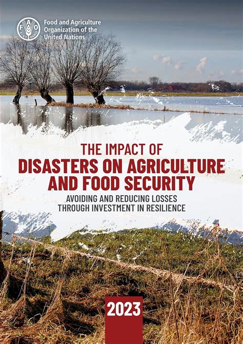 Amazon The Impact Of Disasters On Agriculture And Food Security