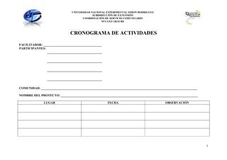 Cronograma De Actividades PPT