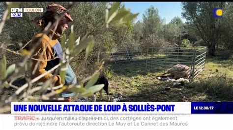 Var Une Nouvelle Attaque De Loup Soll S Pont