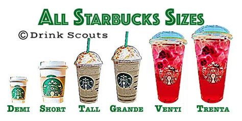 Understanding Starbucks Drink Sizes And Cup Sizes Drink Scouts