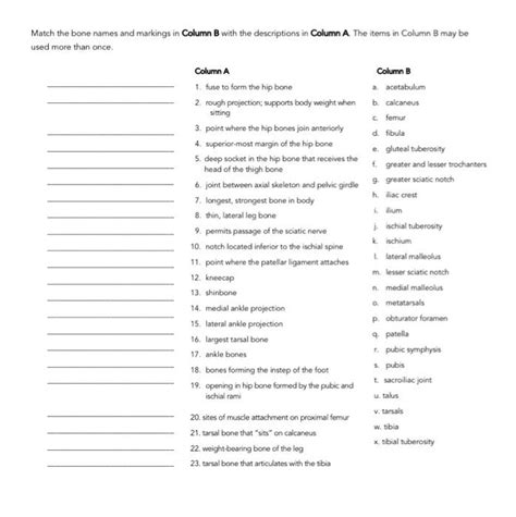 Solved Match The Bone Names And Markings In Column B With Chegg