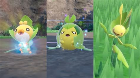 How To Get Evolve Sewaddle In Pokemon Scarlet And Violet The Teal