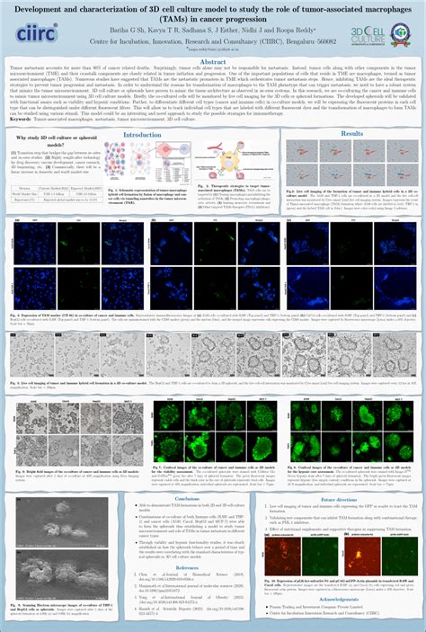 Pdf Development And Characterization Of D Cell Culture Model To