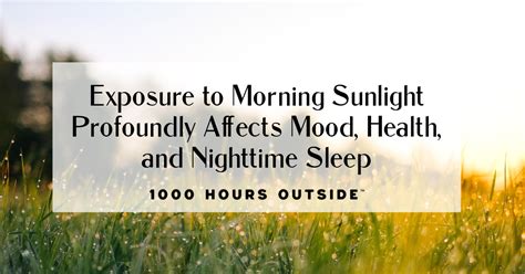 Exposure To Morning Sunlight Profoundly Affects Mood Health And