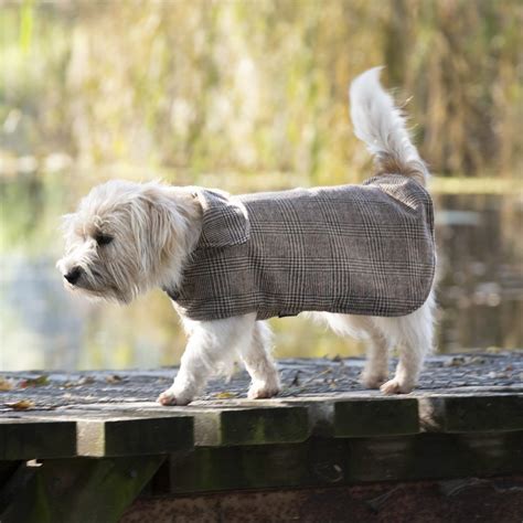 Designer Wool Dog Coat Handcrafted In New Zealand