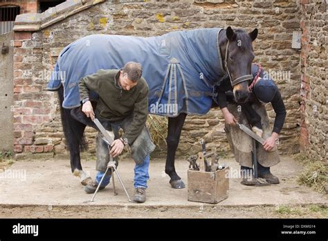 Professional Farriers Working At A Stable In North Lincolnshire