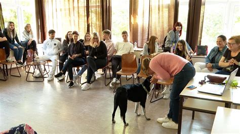 Állatok világnapja Kutyás bemutatók és interaktív órák a Báthoryban