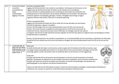 Leerdoelen Biologie Vwo H Zenuwstelsel Je Kunt Het Centrale