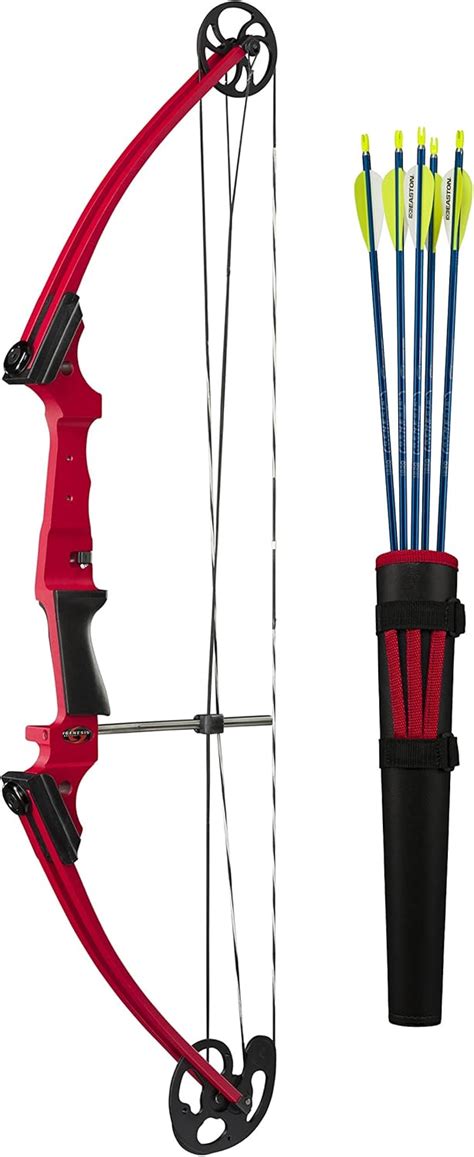 10 Best Compound Bow For Beginners: Ultimate Guide In 2022