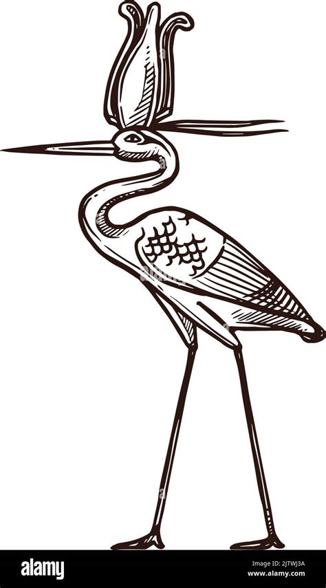 Bennu heron sketch, Ancient Egypt deity and mythology bird, vector icon ...