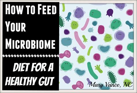 How To Feed Your Microbiome Diet For A Healthy Gut Mary Vance Nc