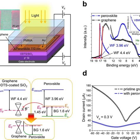 Pdf Ultrahigh Responsivity And Detectivity Grapheneperovskite Hybrid