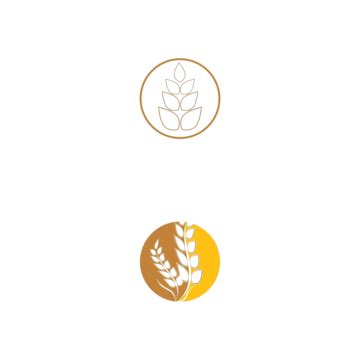 Wheat Logo Template Vector Symbol Illustration Logo Farming Vector