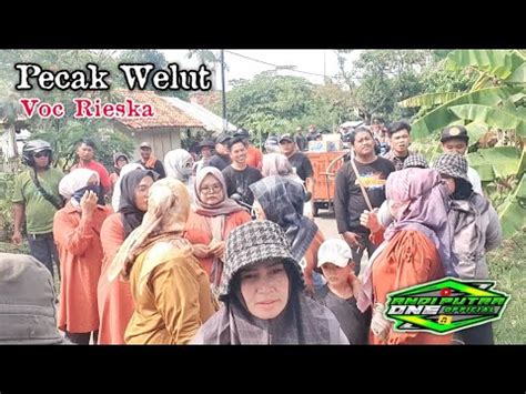 ANDI PUTRA 1 Pecak Welut Voc Rieska Live Sukahaji Ciasem Tgl 28