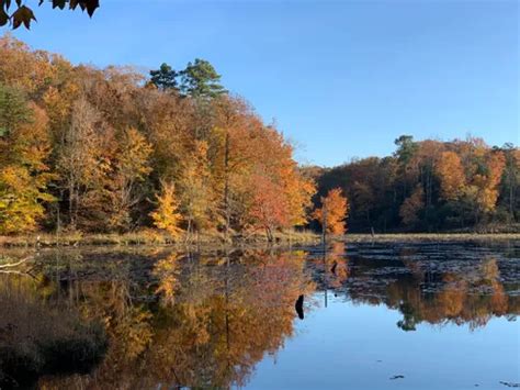 Best Hikes and Trails in Calvert Cliffs State Park | AllTrails