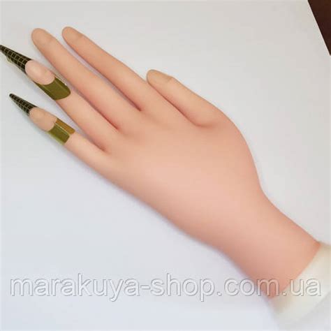 Тренировочная рука для маникюра (ID#1744953401), цена: 250 ₴, купить на ...