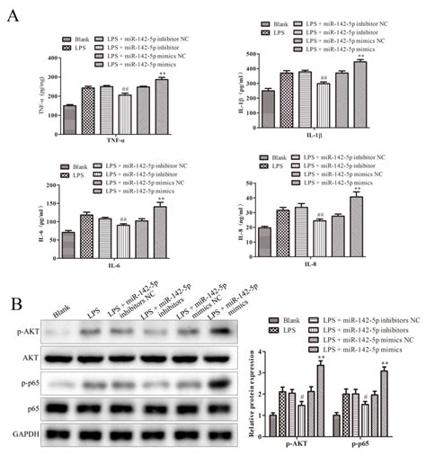 MiR1425p Regulates Lipopolysaccharideinduced Bovine Epithelial Cell