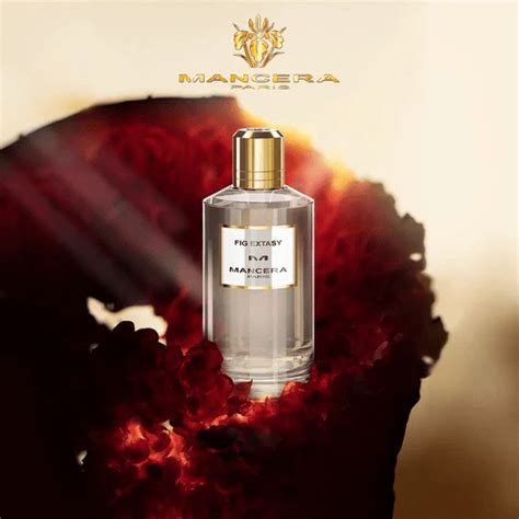 MANCERA FIG EXTASY EDP 120 ML FOR UNISEX (TESTER) - Perfume Bangladesh