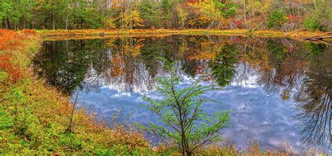 Glen Wild Pond In Autumn Photograph by Angelo Marcialis - Fine Art America
