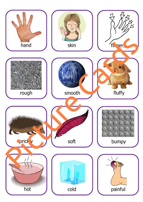 Five Senses Activity Pack Mindingkids
