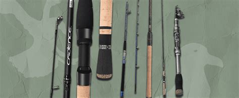 Best Saltwater Fishing Rods Expert Guide Findyourfish