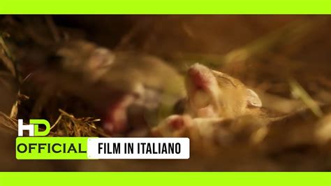 La Quercia E I Suoi Abitanti Film Completo Italia Nuova YouTube