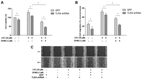 Dfmg Reverses Proliferation And Migration Of Vascular Smooth Muscle