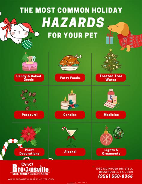 Holiday Pet Safety Tips – Brownsville Spay Neuter Clinic