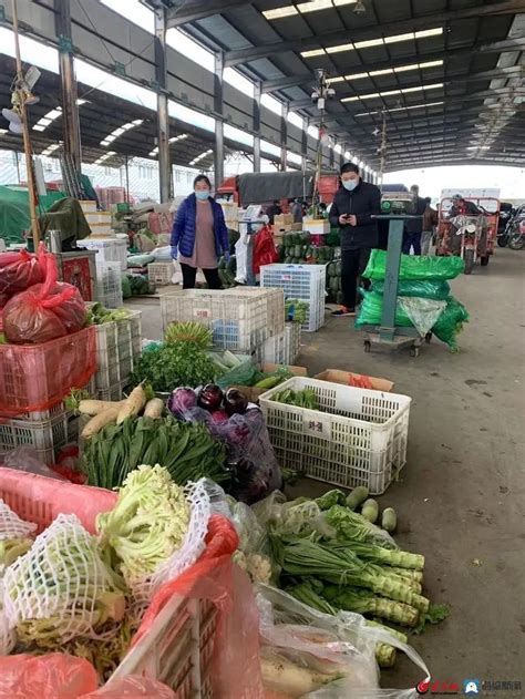 探访济南最大“菜篮子”：日进蔬菜量涨10％达3000余吨、价格稳定 市民供菜有保障腾讯新闻