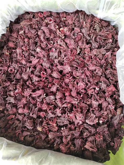 Dried Roselle Hibiscus Flower Tea Red Hibiscus Roselle Tea Flower High