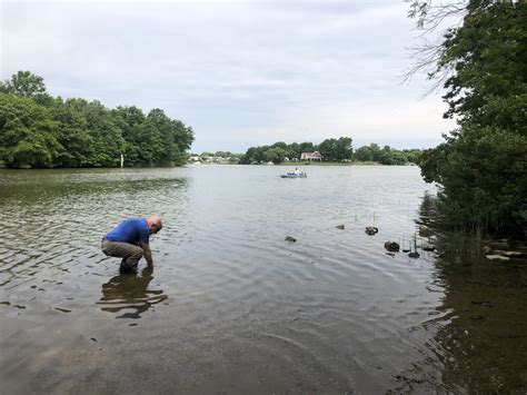 Gunpowder River Water Quality May Update Gunpowder Riverkeeper