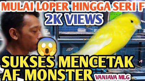 PETERNAK INI SUKSES MENCETAK KENARI SERI AF SIZE MONSTER SEGEDE SERI F1