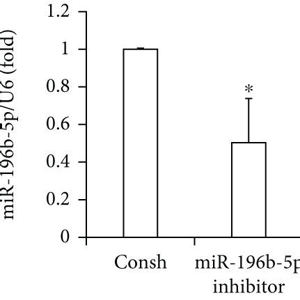 METTL3 Promoted The Osteo Odontogenic Differentiation Of SCAPs Ac