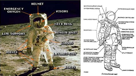 A Apollo 11 A7l Space Suit B Diagram Showing Component Parts Of A7l