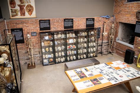 The Bone Museum Brooklyn Ny 11206