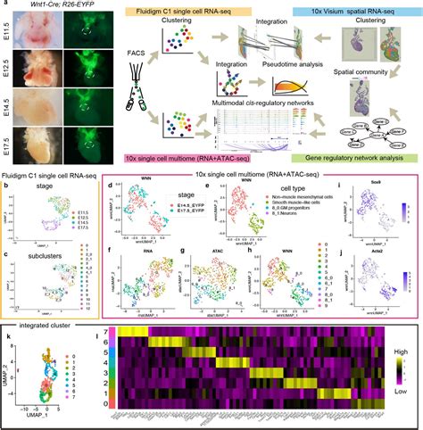 Single Cell Analysis Data Fluidigm Bioz