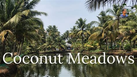 Coconut Meadows Island Resort Poothotta Ernakulam Youtube