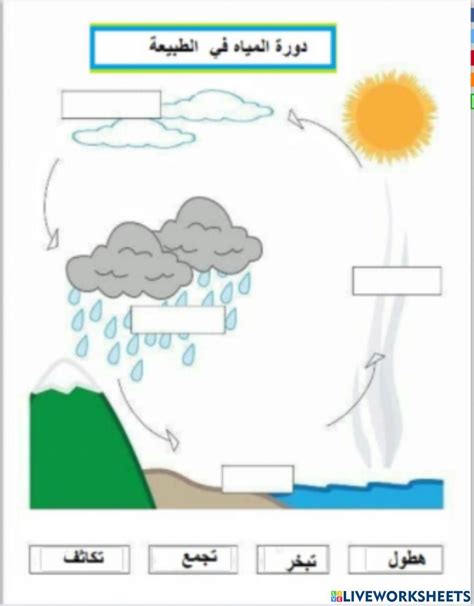 دورة الماء في الطبيعة Online Exercise For Live Worksheets