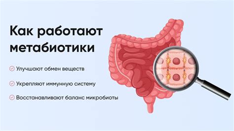 Что такое метабиотики?