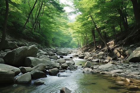 Sungai Yang Mengalir Melalui Hutan Bebatuan Berbatu Gapyeong Gun